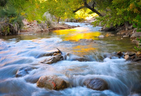 Colorful image of the Virgin River flowing over rocks in Zion National Park.